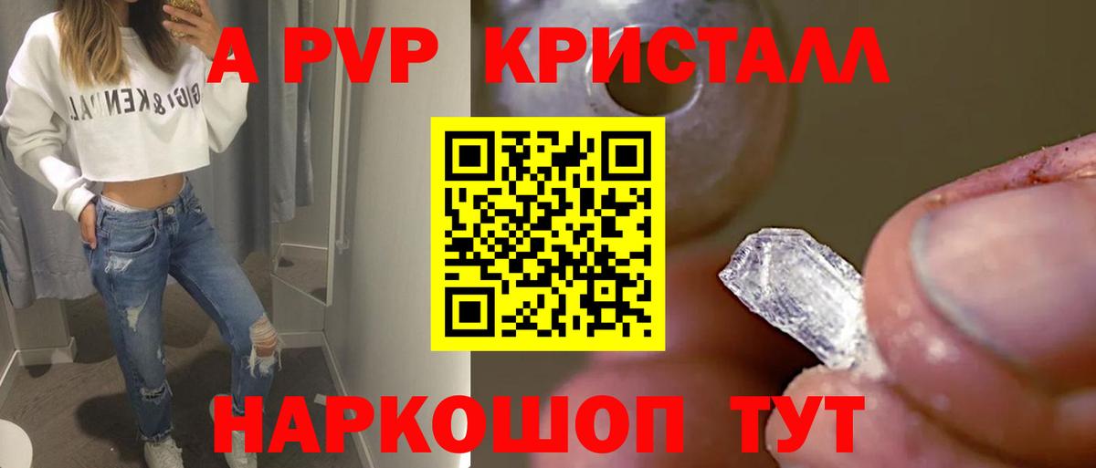 Alfa_PVP крисы CK Майкоп