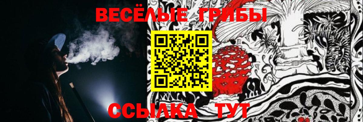 Галлюциногенные грибы прущие грибы  Вход с VPN  где купить наркоту  Майкоп 