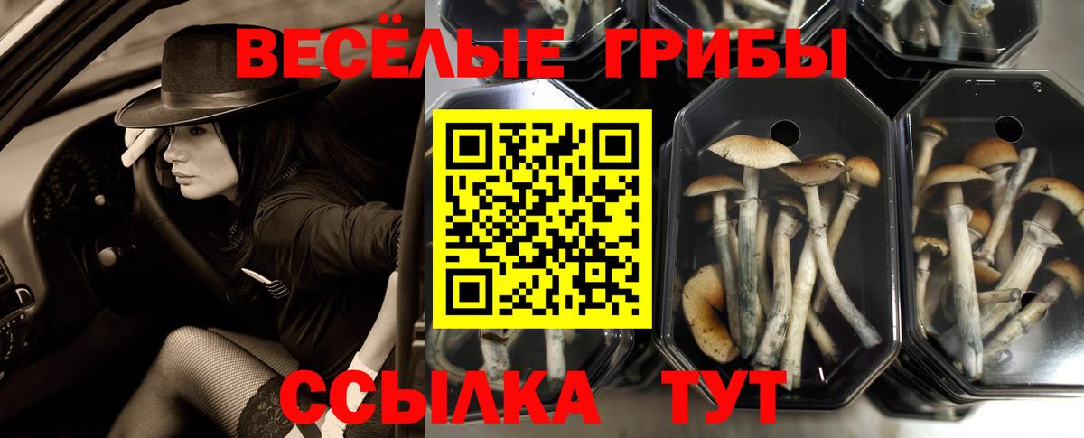 Псилоцибиновые грибы Magic Shrooms Майкоп