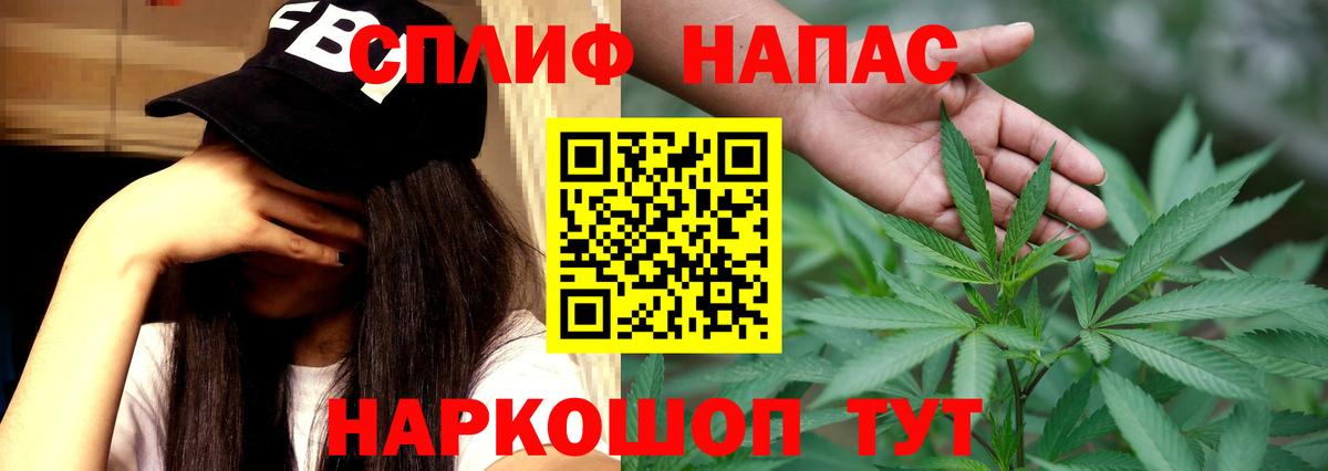 МАРИХУАНА планчик Майкоп